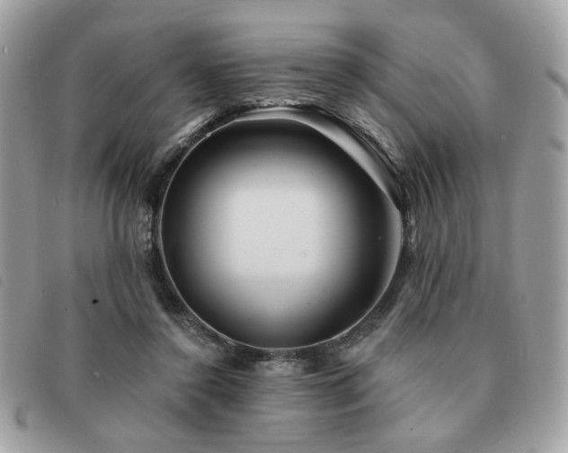 X0000091530356200708171226