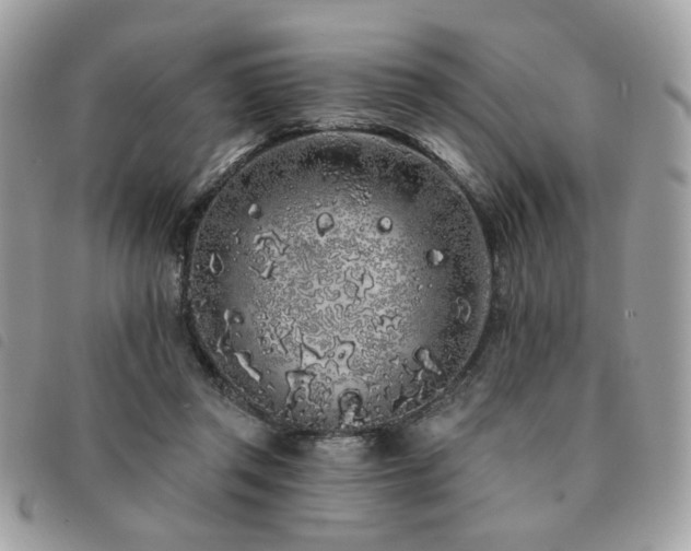 X0000091530357200708171226