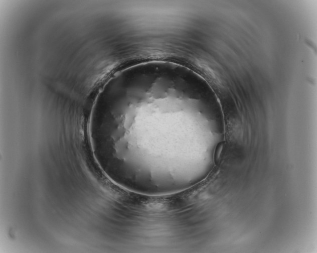 X0000091530358200708171226
