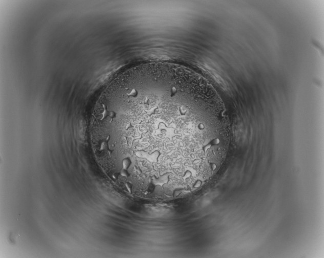 X0000091530359200708171226