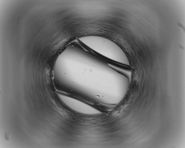 X0000091530360200708171226