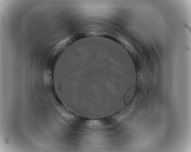 X0000091530361200708171226