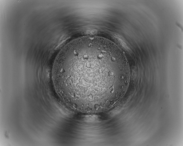 X0000091530363200708171226