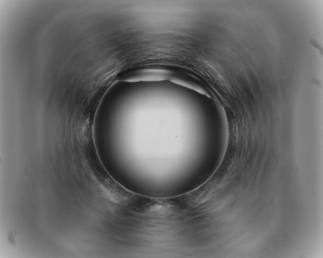 X0000091530364200708171226