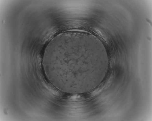 X0000091530366200708171226