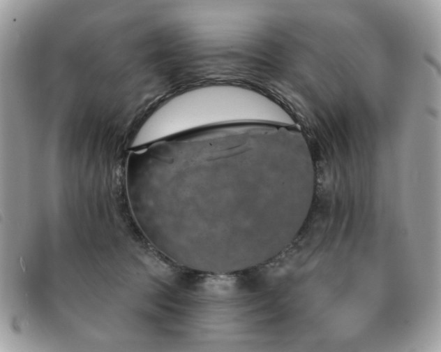 X0000091530369200708171226