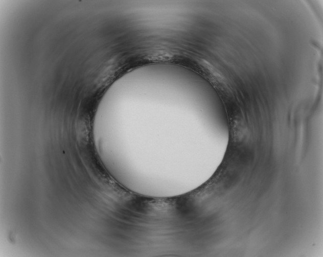 X0000091530370200708171226
