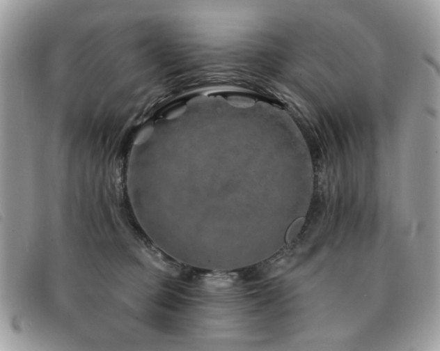 X0000091530373200708171226