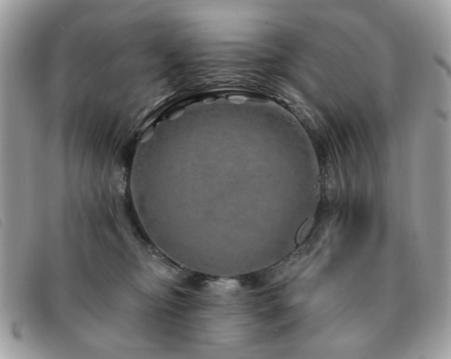 X0000091530374200708171226