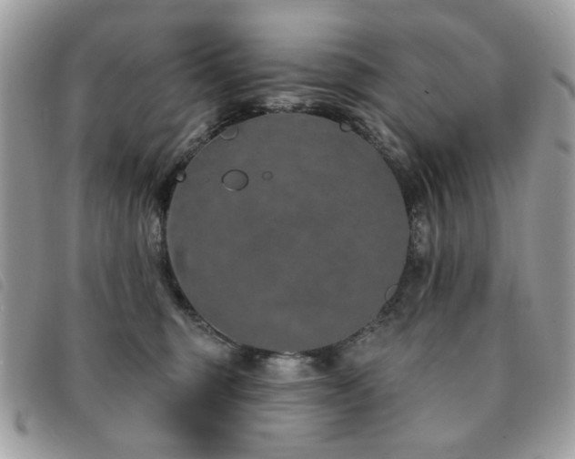 X0000091530375200708171226