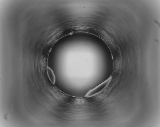X0000091530376200708171226