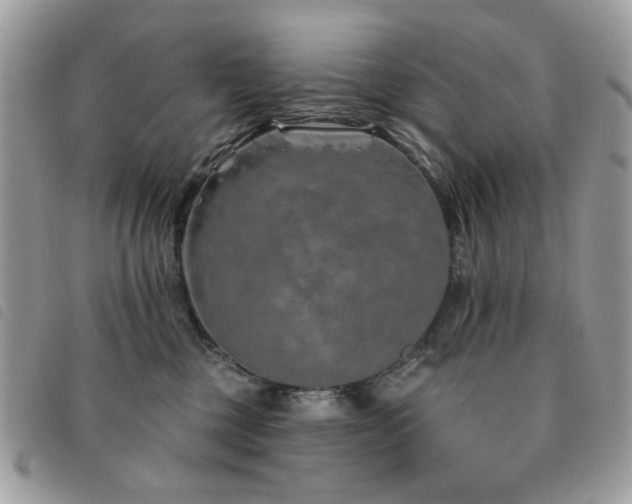 X0000091530377200708171226