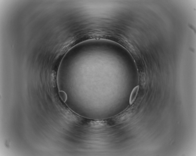 X0000091530378200708171226