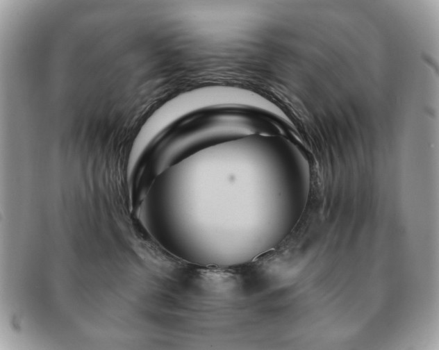 X0000091530380200708171226