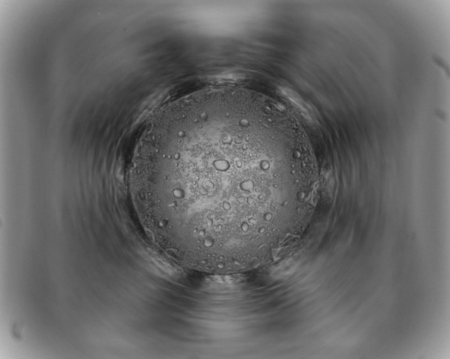 X0000091530381200708171226