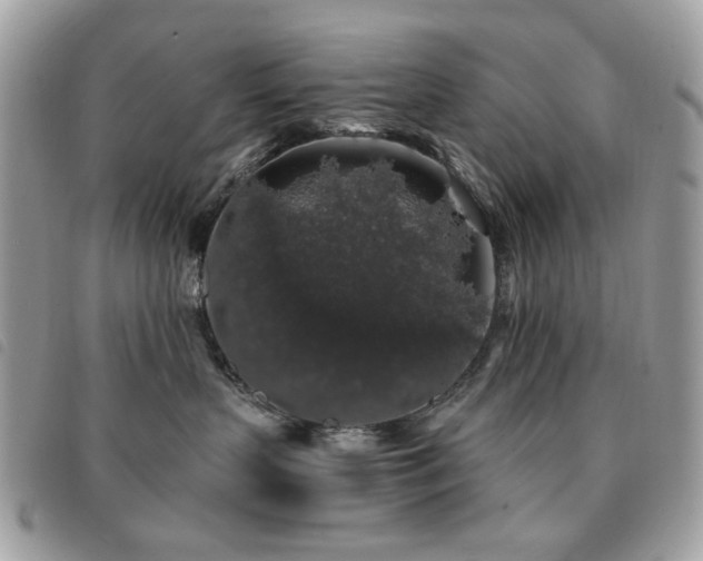 X0000091530383200708171226