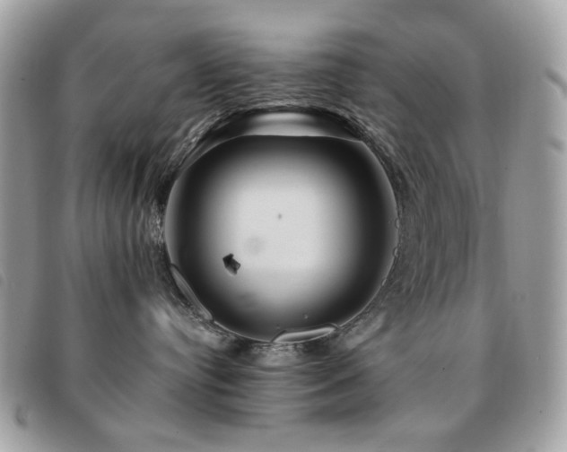X0000091530384200708171226