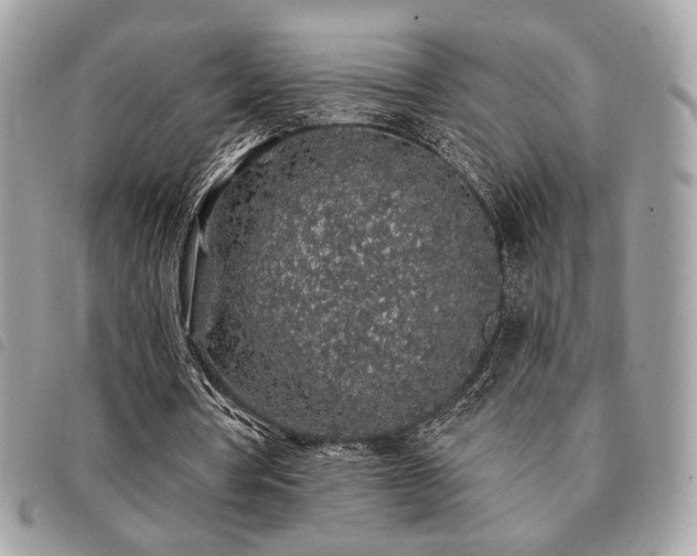 X0000091530386200708171225