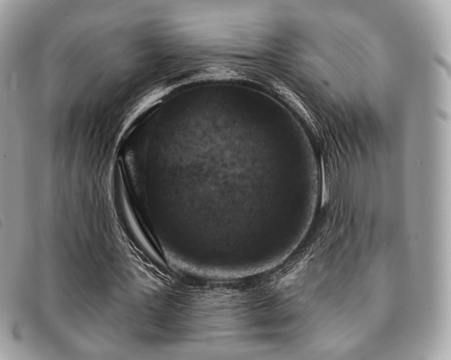 X0000091530387200708171225