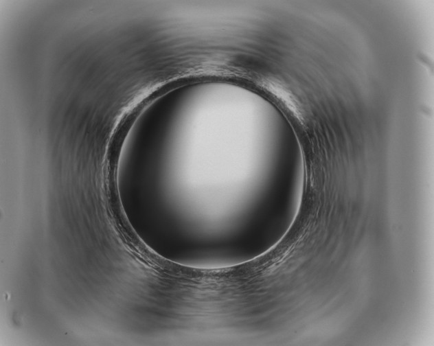 X0000091530388200708171225