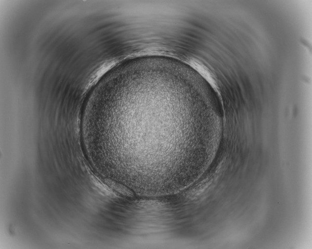 X0000091530389200708171225