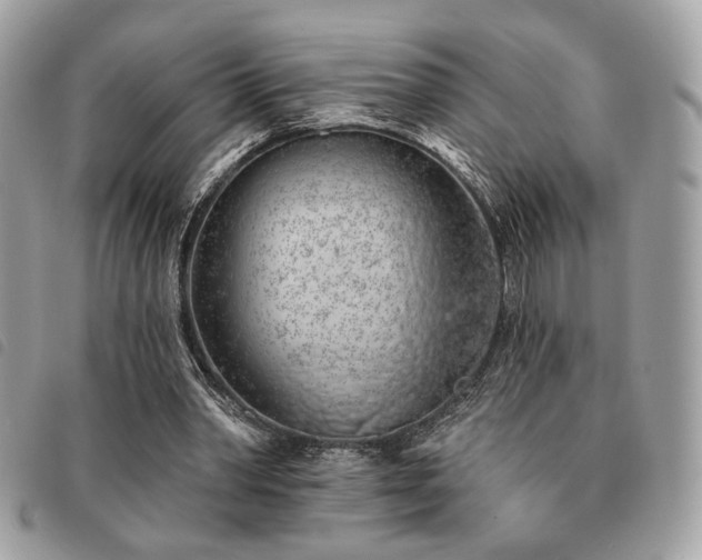 X0000091530390200708171225