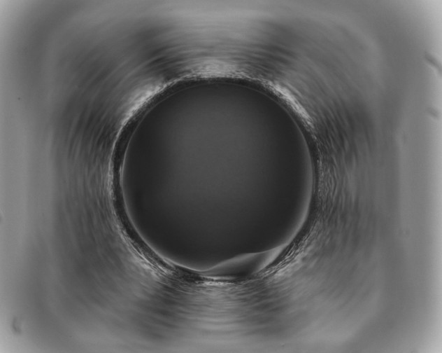 X0000091530391200708171225