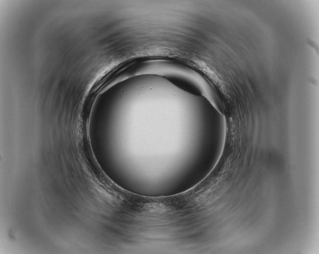 X0000091530392200708171225