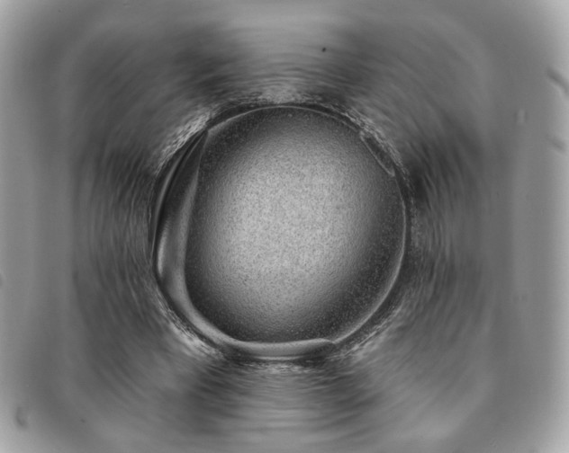 X0000091530393200708171225