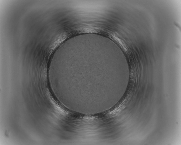 X0000091530394200708171225