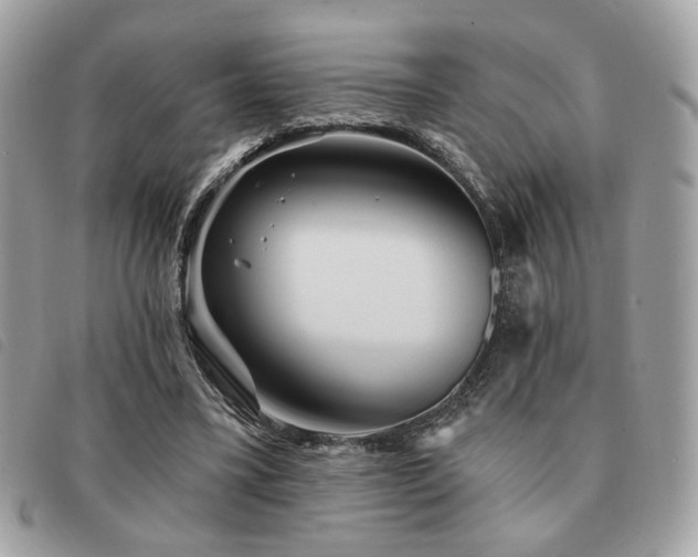 X0000091530395200708171225