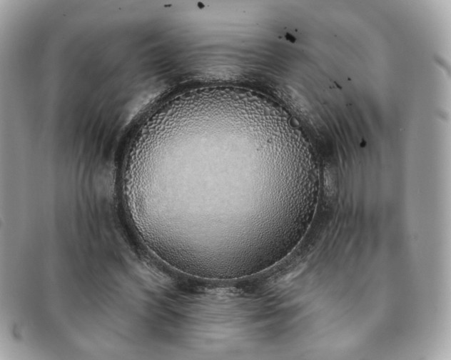 X0000091530396200708171225