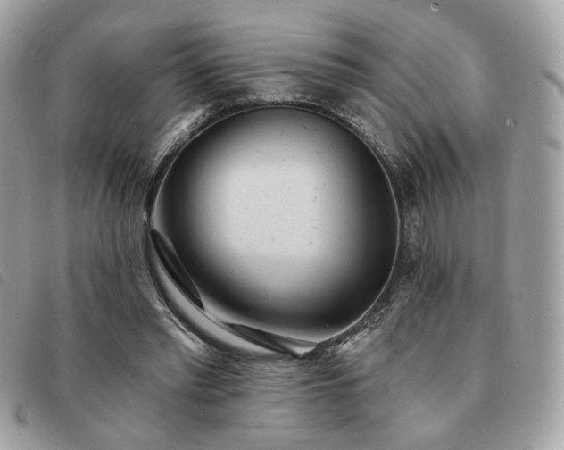 X0000091530397200708171225