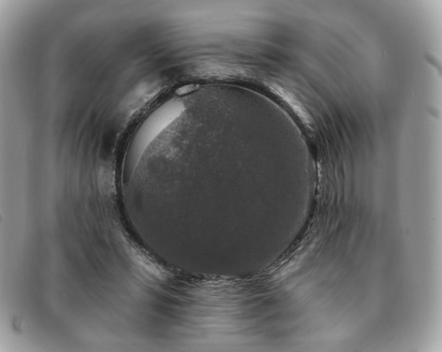 X0000091530399200708171225