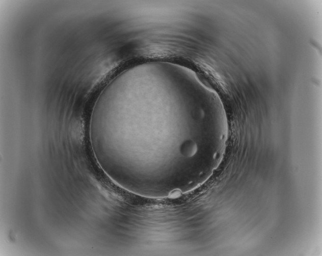 X0000091530400200708171225