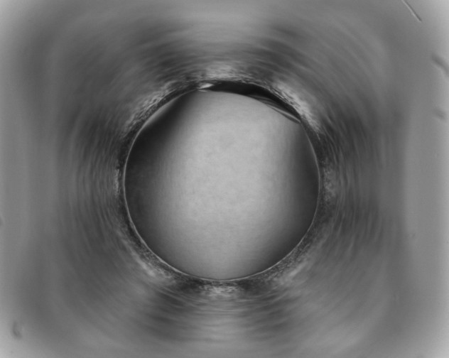 X0000091530401200708171225
