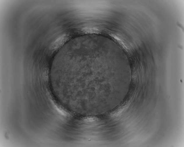 X0000091530402200708171225