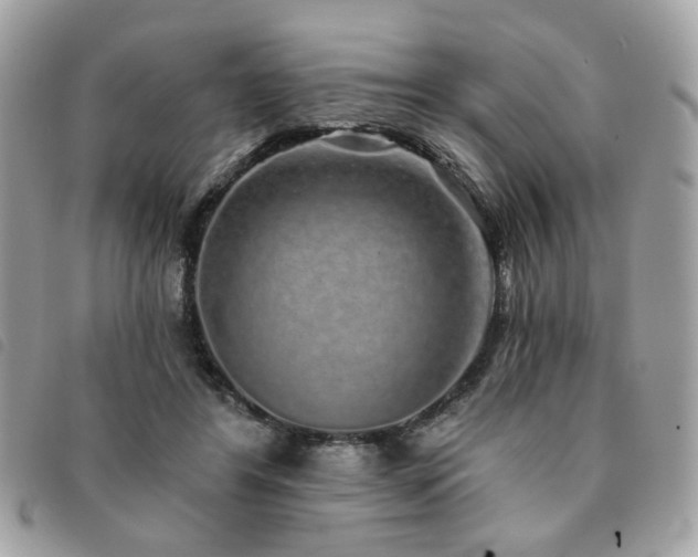X0000091530404200708171225