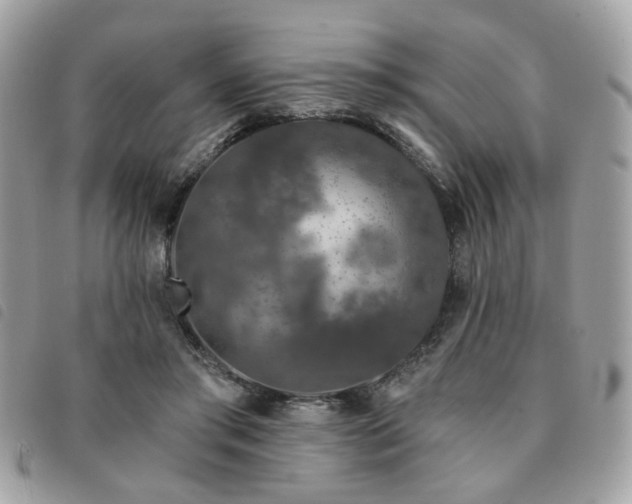 X0000091530405200708171225