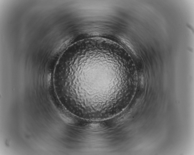 X0000091530406200708171225