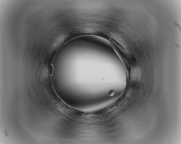 X0000091530407200708171225
