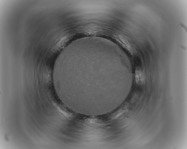 X0000091530408200708171225