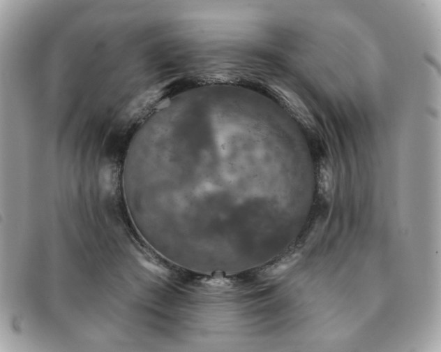 X0000091530409200708171225