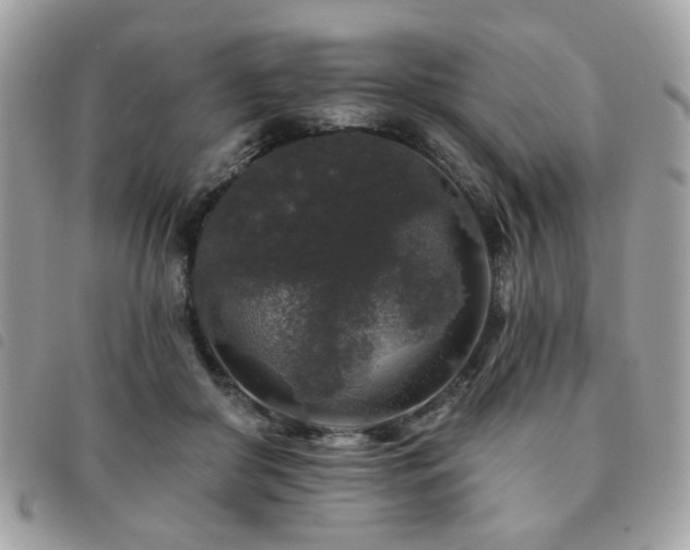 X0000091530410200708171225