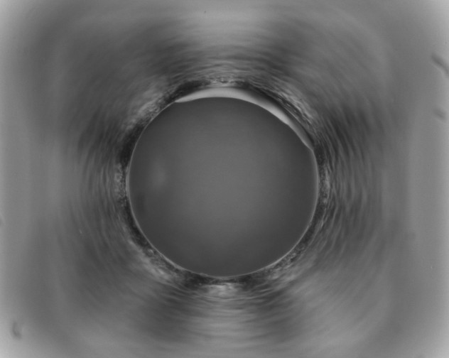 X0000091530411200708171225