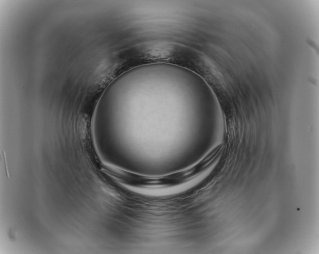 X0000091530412200708171225