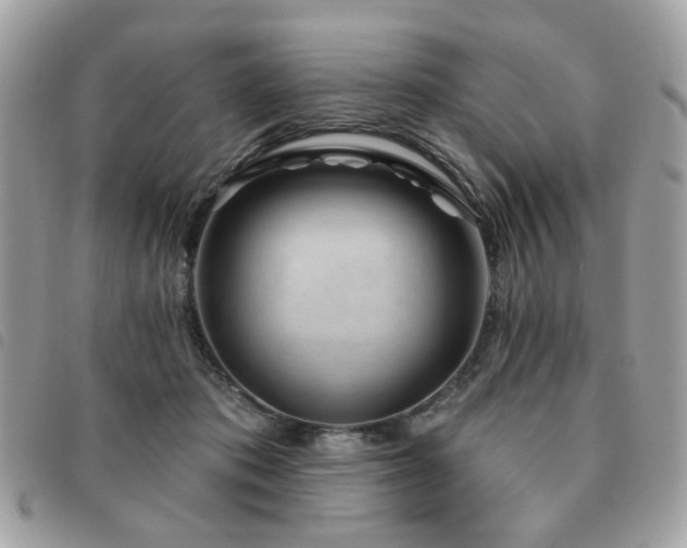 X0000091530413200708171225