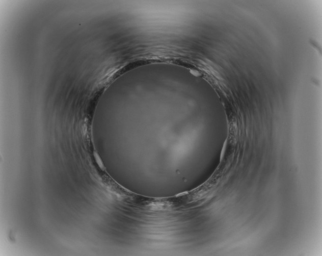 X0000091530415200708171225