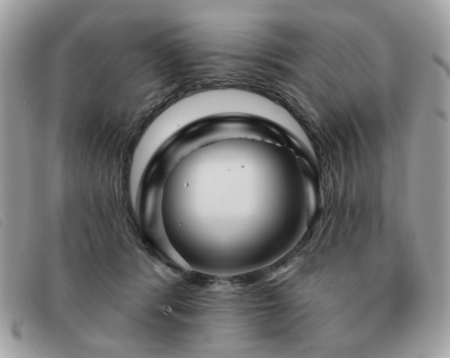 X0000091530416200708171225