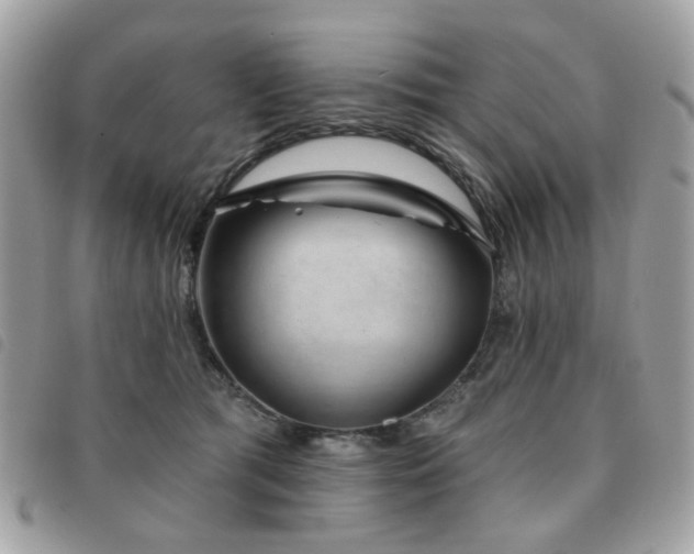 X0000091530417200708171225